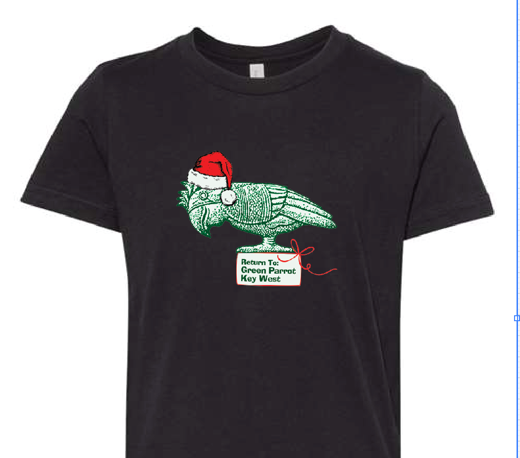 *Limited* Kids Holiday T-Shirt