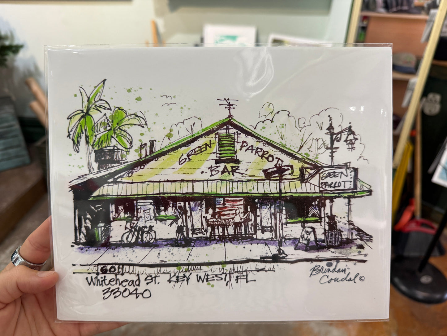 Green Parrot Watercolor Sketch