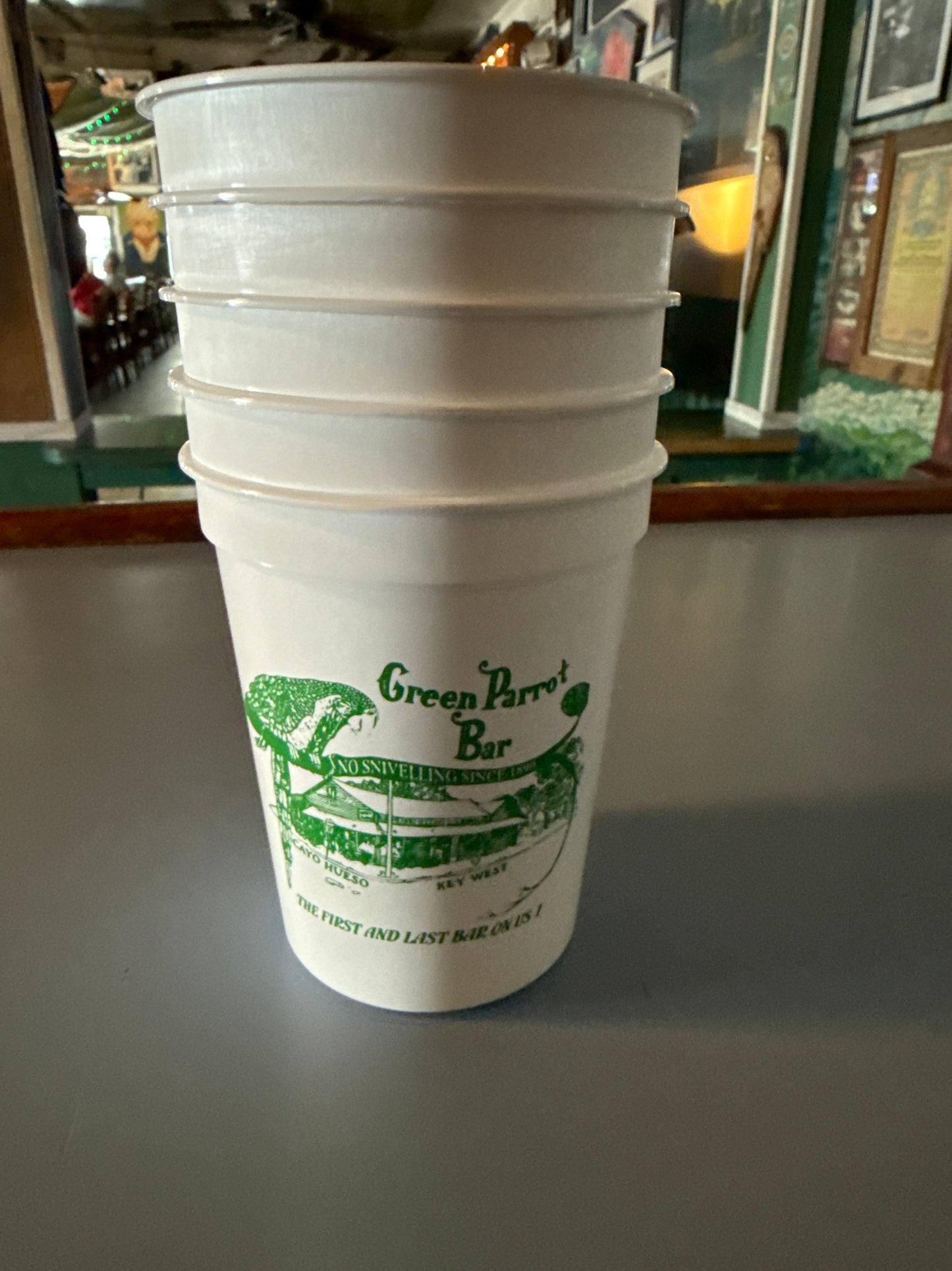 Souvenir Parrot Punch Cup Set