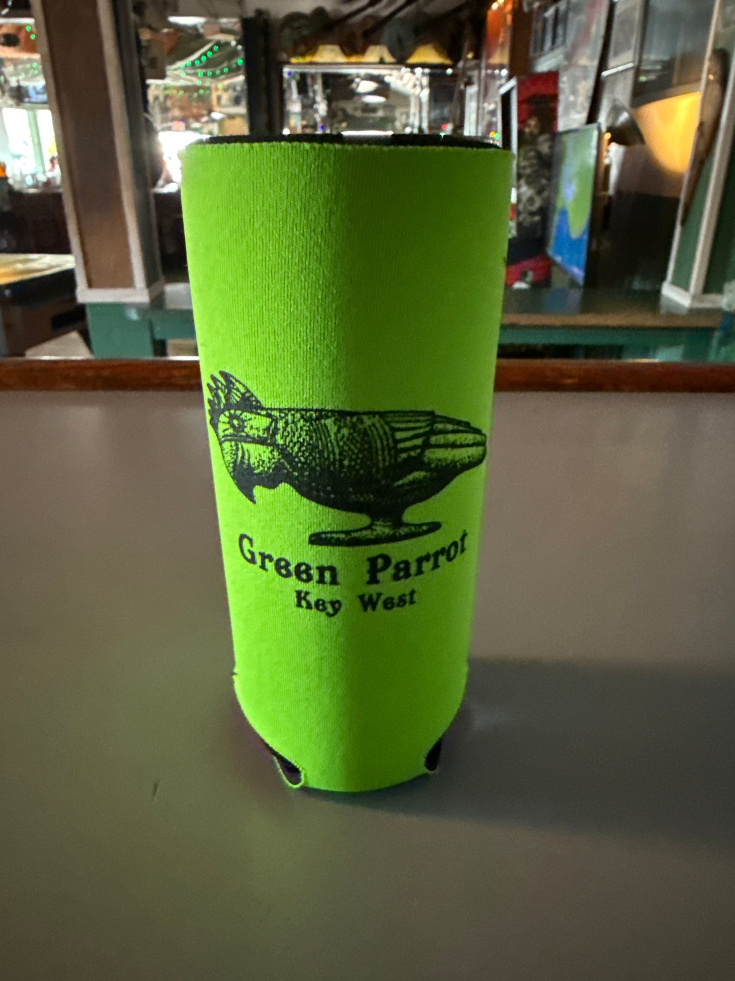 Excess in Moderation Slim Coozie