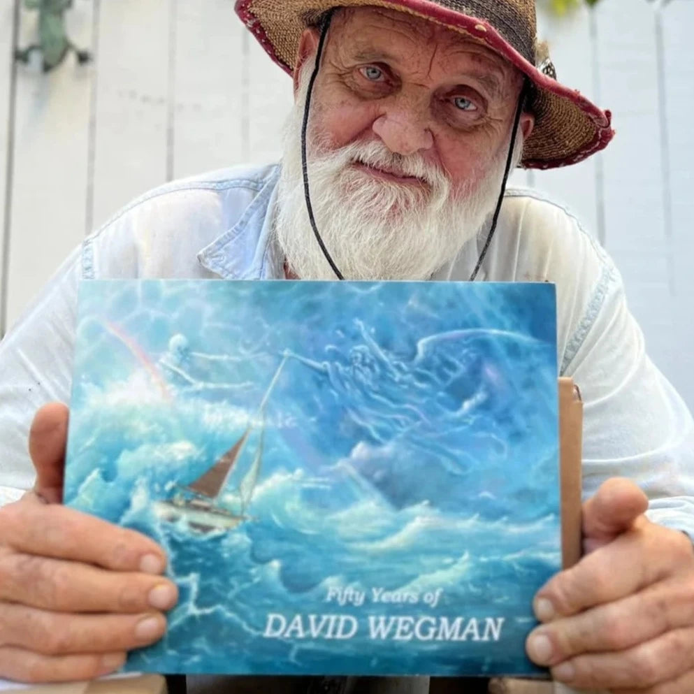 Fifty Years of David Wegman