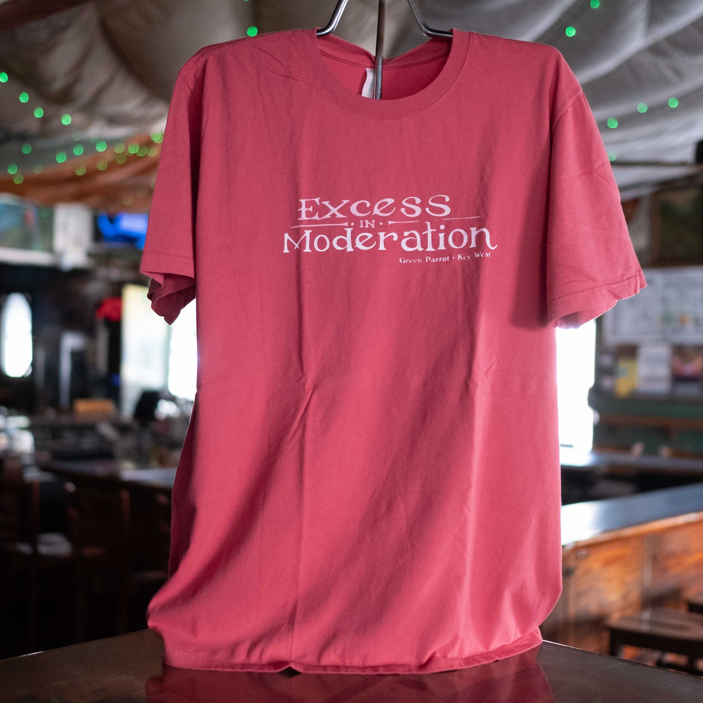 Excess in Moderation T Shirt