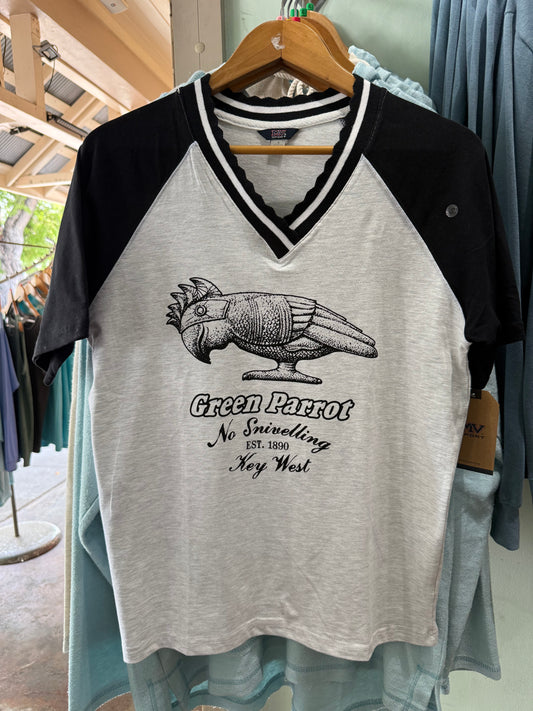 Ladies V-Neck Team Tee