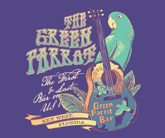 Hippie Guitar V-Neck Tee