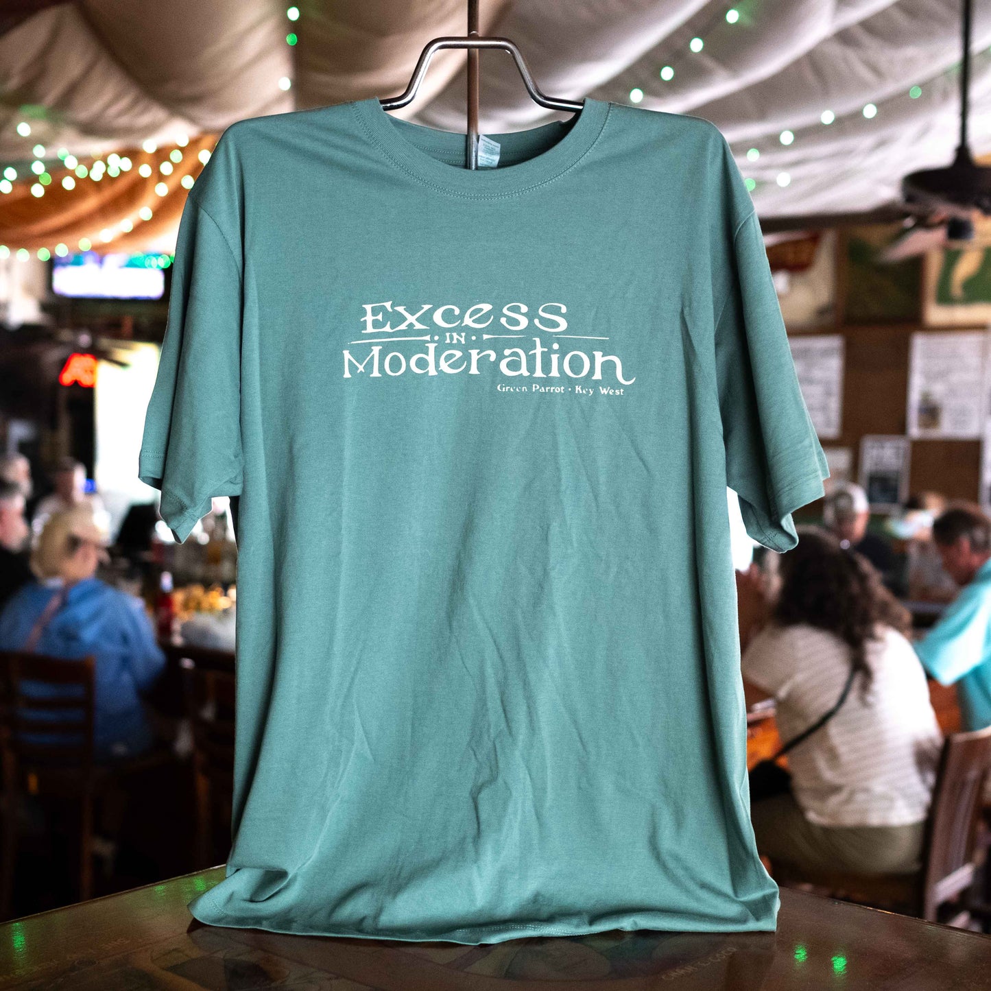 Excess in Moderation T Shirt